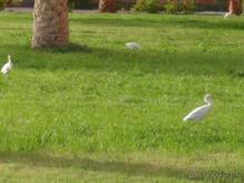 Самый уютный!