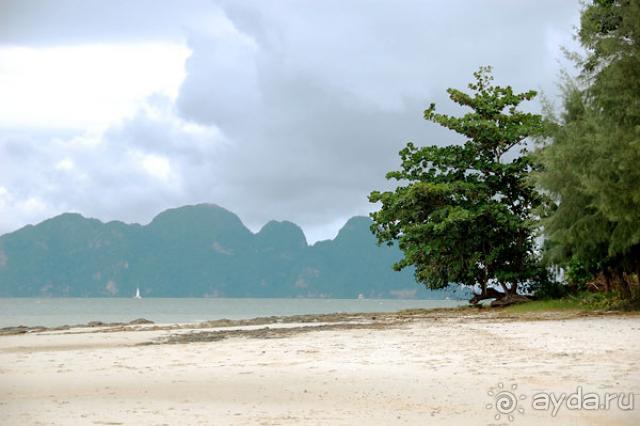 фото Bella Resort & Spa