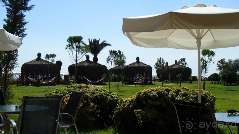 фото Спартак