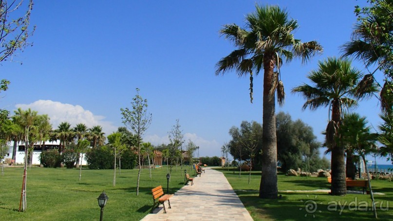 фото Спартак