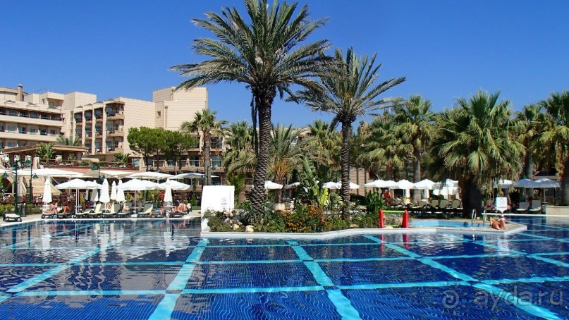 фото Спартак