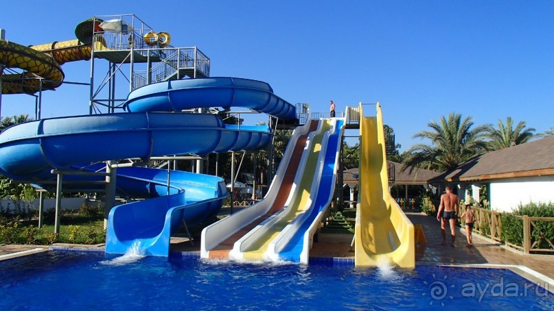 фото Спартак