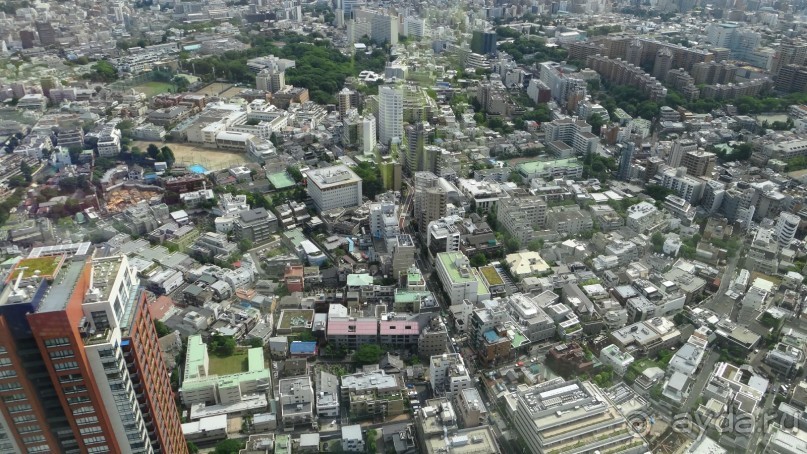 Волшебная страна