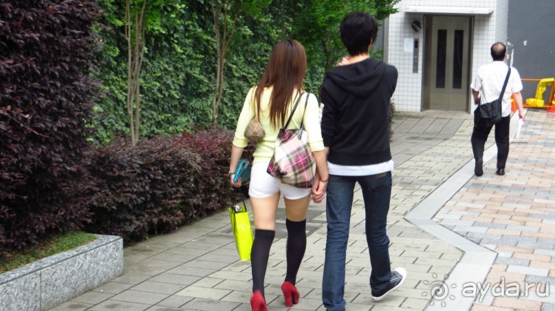 Волшебная страна