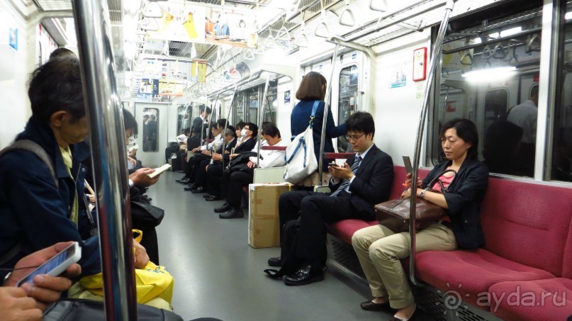 Волшебная страна