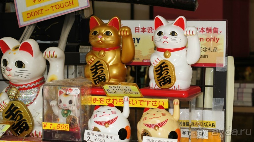 Котик "на счастье"