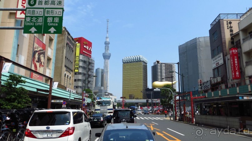 Волшебная страна