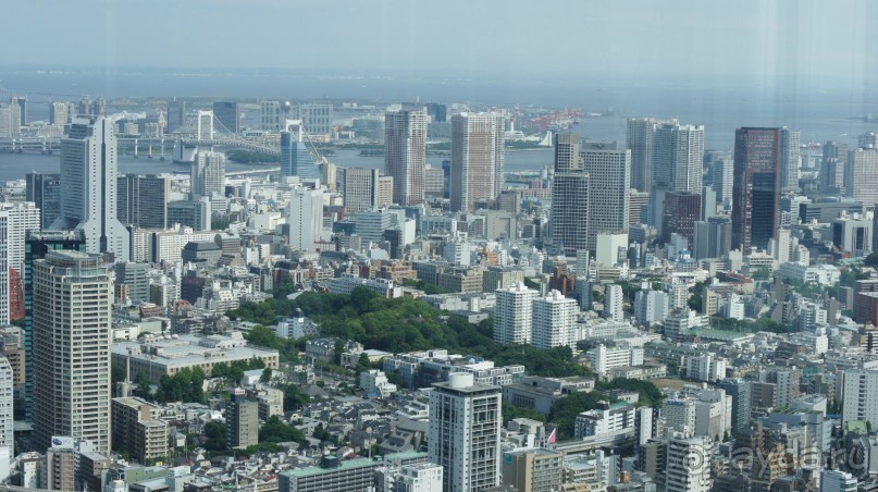 Волшебная страна