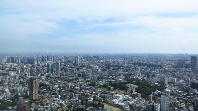 Волшебная страна