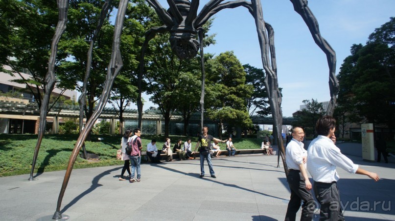 Паук на Роппонги