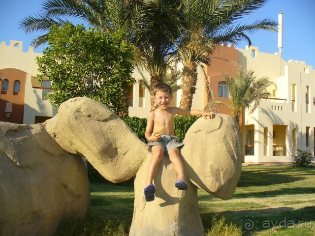 фото Sunrise Royal Makadi Resort