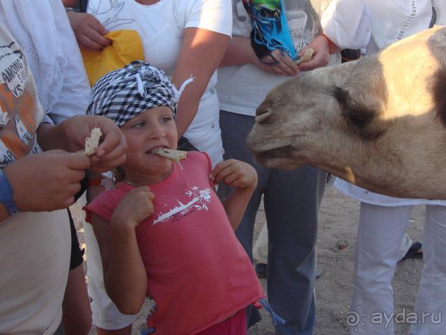 фото Golden 5 Almas Resort (закрыт)