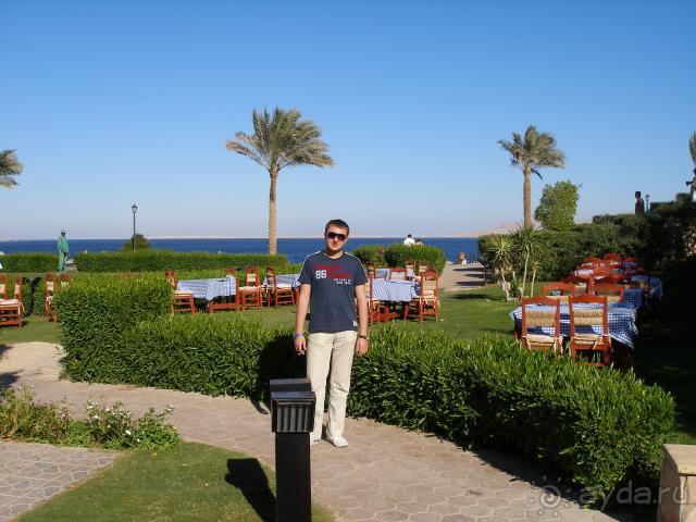 фото Coral Beach Resort Tiran