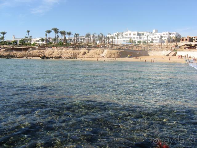 фото Verginia Sharm 