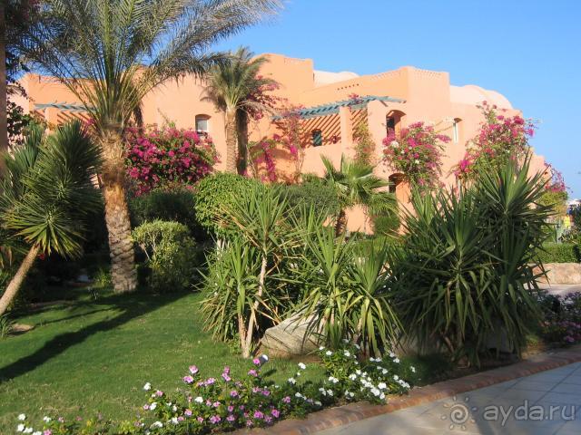 фото Sunrise Royal Makadi Resort