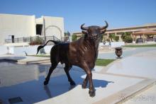 фото Sierra Sharm El Sheikh