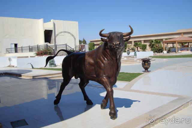 фото Sierra Sharm El Sheikh