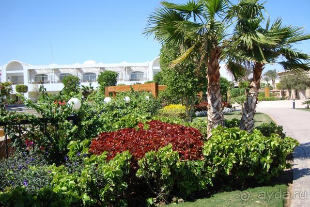 фото Sierra Sharm El Sheikh
