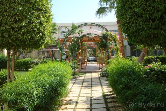 фото Sierra Sharm El Sheikh