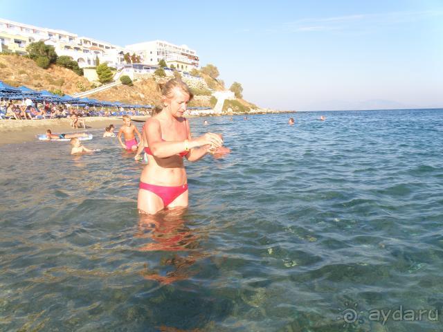 рыбок можно кормить с рук, выпрыгивают из воды.