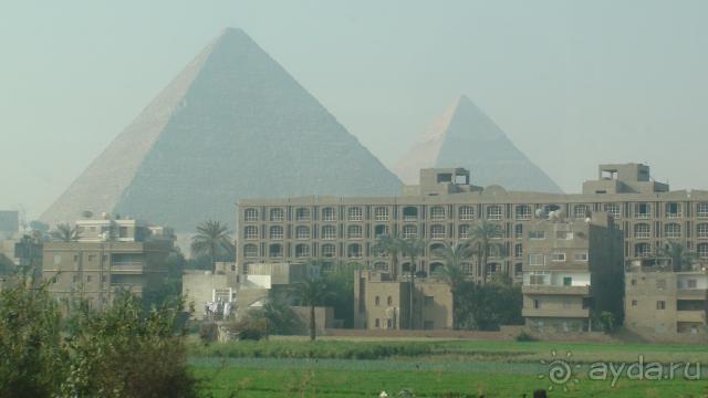 фото Steigenberger Al Dau Beach