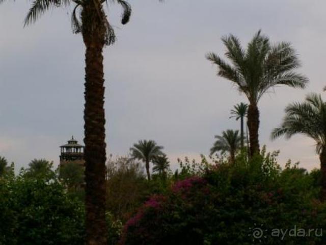 Не обычный отель