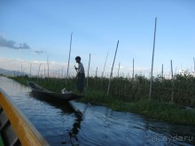 Инле. Плантация помидоров на воде