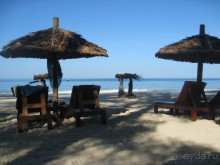 Каждое утро женщины из рыбацкой деревни носят дрова