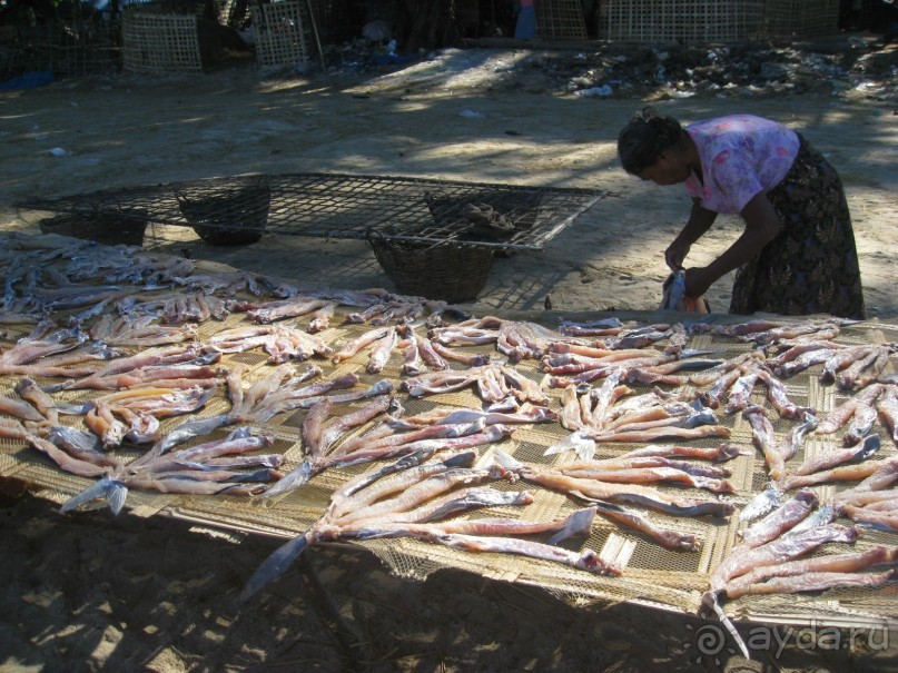 В рыбацкой деревне
