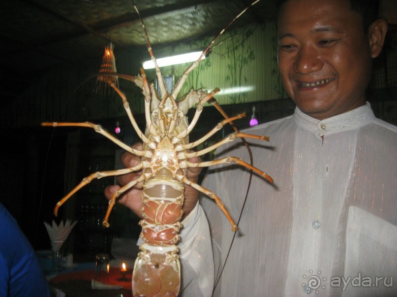 Кто из них симпатичнее?