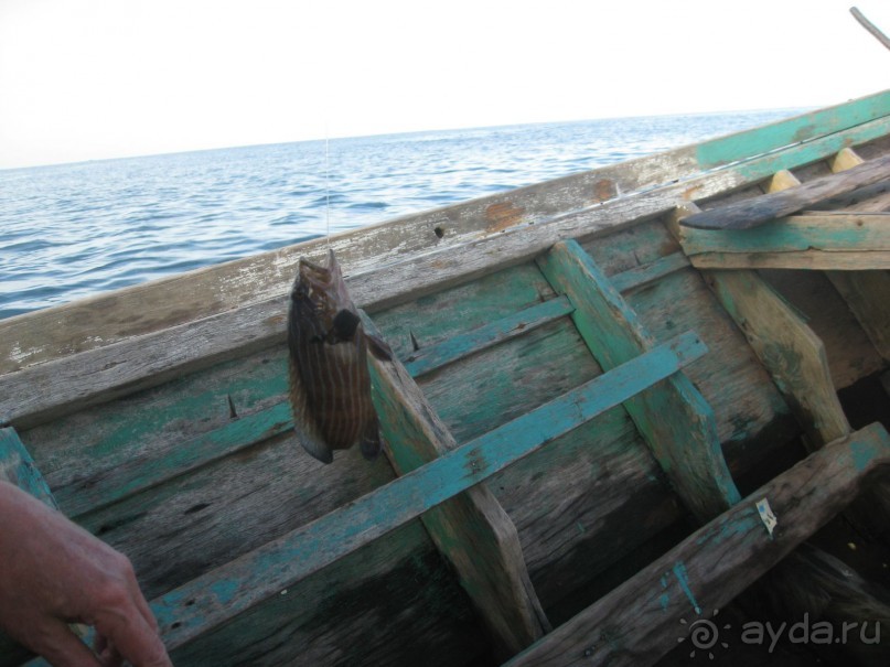 Первый улов