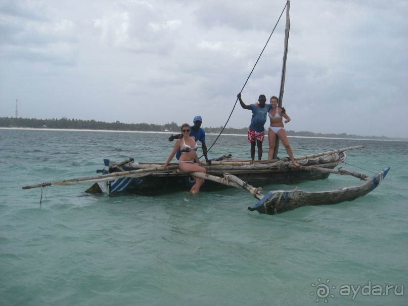 Приплыли к рифу