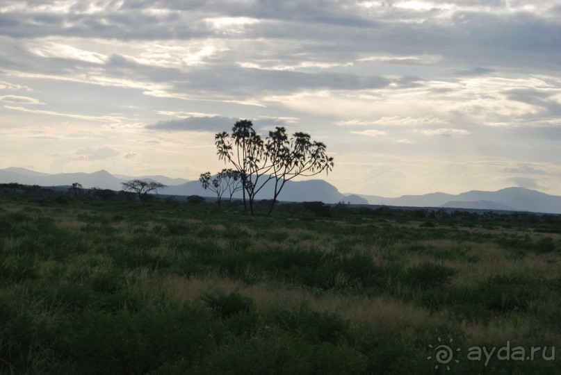 Масаи-Мару. Вечерний пейзаж