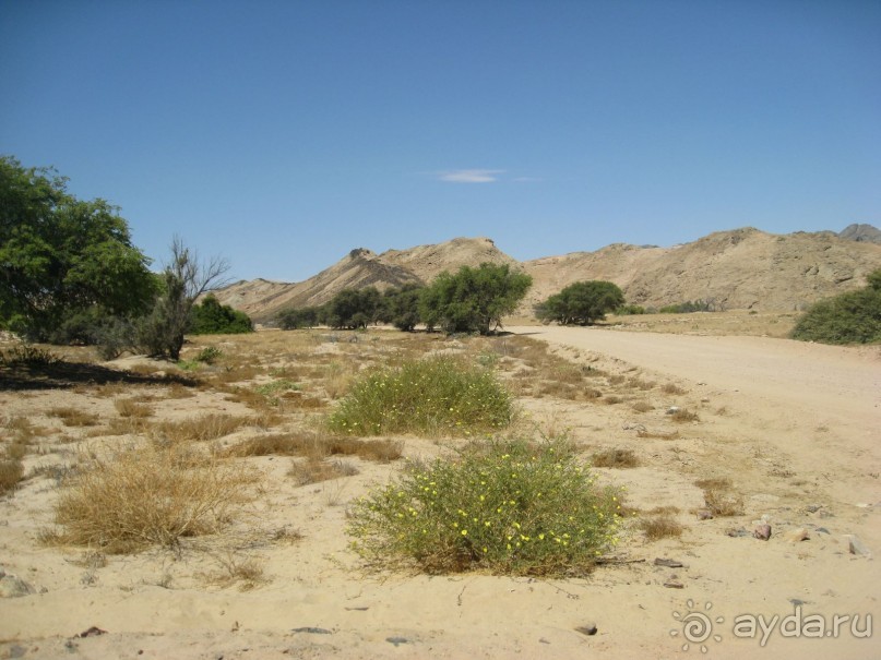 Дорога в Moon Valey.