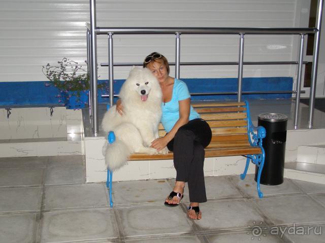 фото Renaissance Sharm El Sheikh Golden View Beach Resort