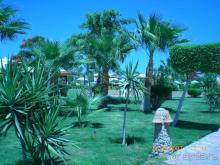 Lilly Land Beach Club