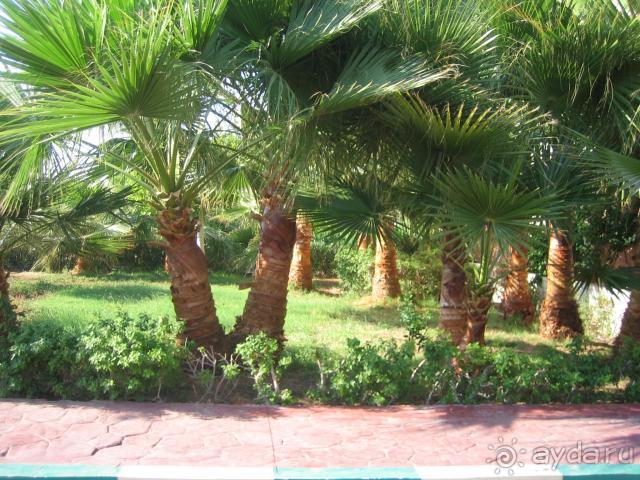 фото Marriott Gulf Hotel