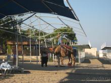 красивое только здание, все остальное ужасно