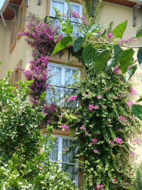 фото Club Hotel Kosdere