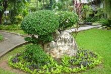 фото Natural Park Resort