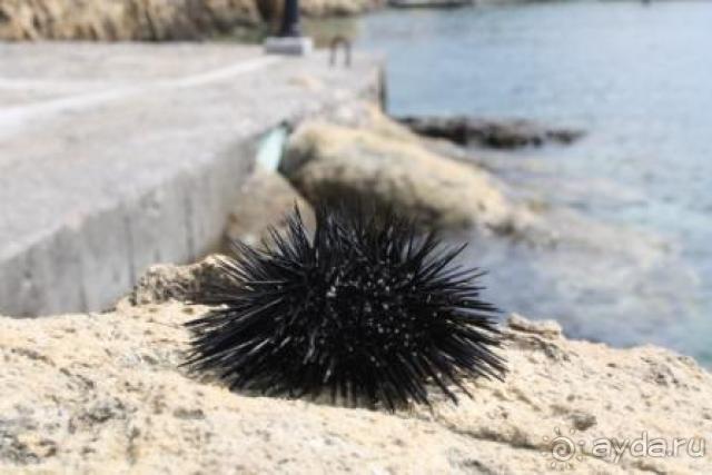 Осторожно! Отстой!