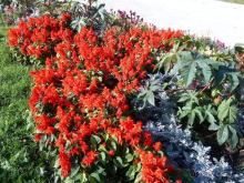 Приятное сочетание двух отелей