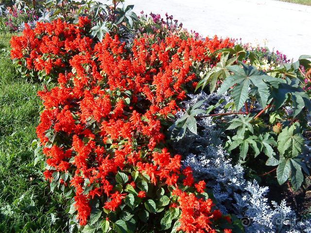 Приятное сочетание двух отелей