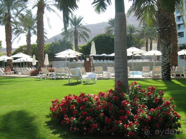 Отель отличный,красивый,современный,стильный