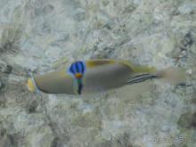 отель вполне приличный