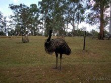 Вдоль побережья Австралии