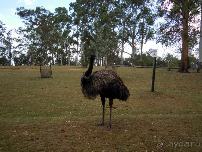 Вдоль побережья Австралии