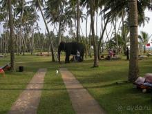 Отель испортил весь отдых!