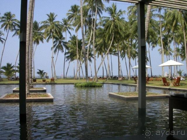 фото Jean-Michel Cousteau Fiji islands Resort