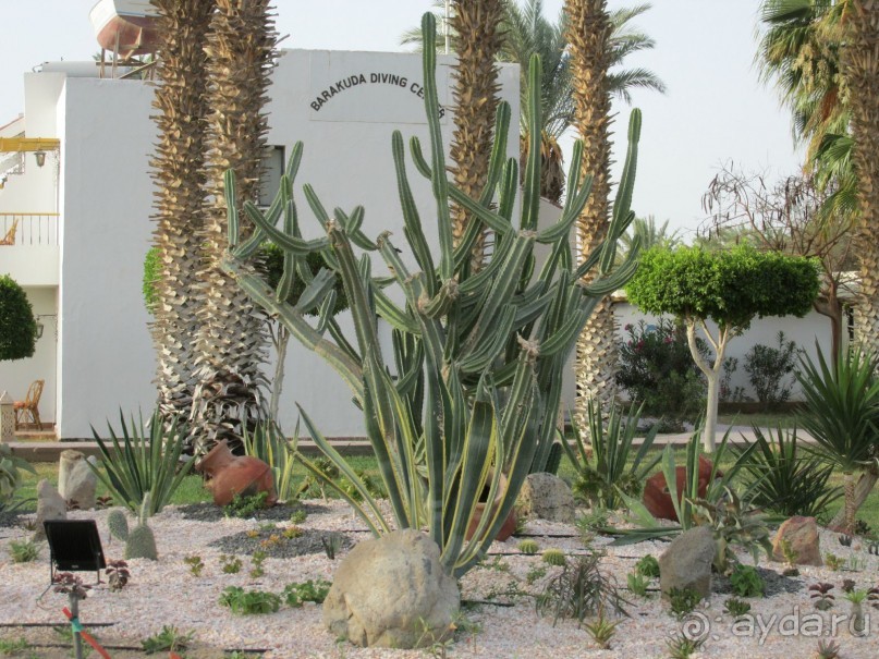 Остались отдыхом ожидаемо удовлетворены